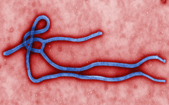 Remember Ebola? The pandemic reminds us of wnat is happening now